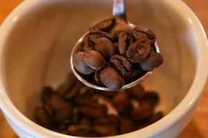 EL SALVADOR-SONSONATE-CHINA-CAFE