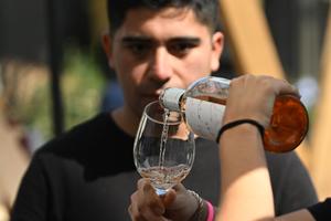 CHILE-SANTIAGO-VENDIMIA FEST