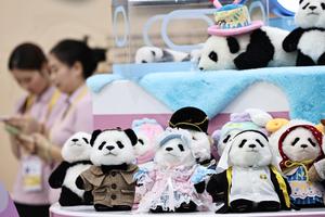 CHINA-HAINAN-VI CICPE