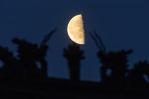 CHINA-HEILONGJIANG-CUARTO MENGUANTE