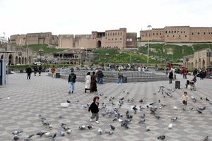 IRAK-ERBIL-CIUDADELA DE ERBIL