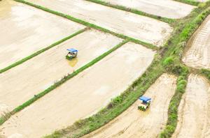 CHINA-PRIMAVERA-AGRICULTURA