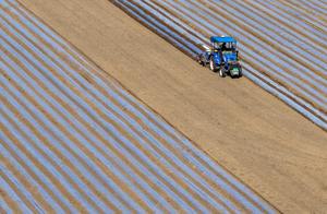CHINA-PRIMAVERA-AGRICULTURA