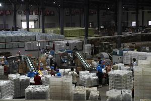 CHINA-HUBEI-HONGHU-RAICES DE LOTO-INDUSTRIA-DESARROLLO