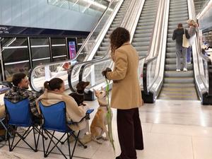 ISRAEL-RAMAT GAN-REFUGIO-ESTACION DE METRO