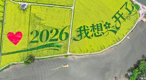 CHINA-CHONGQING-FLORES DE COLZA-PAISAJE