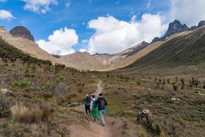 KENIA-PARQUE NACIONAL DEL MONTE KENIA-PAISAJE