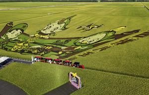 CHINA-HEILONGJIANG-FRONTERA-DESARROLLO
