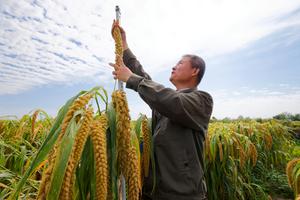 CHINA-HEILONGJIANG-HARBIN-RECURSOS DE GERMOPLASMA-EQUIPO