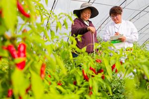 CHINA-HEILONGJIANG-HARBIN-RECURSOS DE GERMOPLASMA-EQUIPO