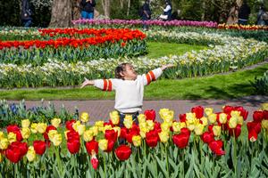 PAISES BAJOS-LISSE-KEUKENHOF-TULIPAN