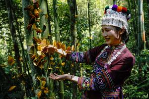 CHINA-YUNNAN-JINPING-MARIPOSA-AUGE