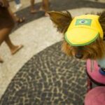 BRASIL-RIO DE JANEIRO-FUTBOL-COPA MUNDIAL DE LA FIFA 2026-AFICIONADOS