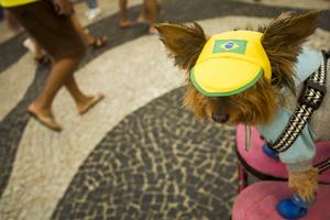 BRASIL-RIO DE JANEIRO-FUTBOL-COPA MUNDIAL DE LA FIFA 2026-AFICIONADOS