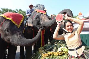 TAILANDIA-PATTAYA-DIA DEL ELEFANTE