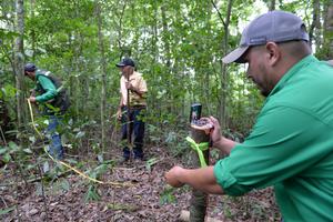 NICARAGUA-EL CUA-INVENTARIO FORESTAL