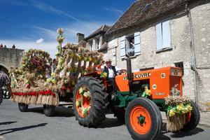 FRANCIA-PROVINS-FESTIVAL DE LA COSECHA