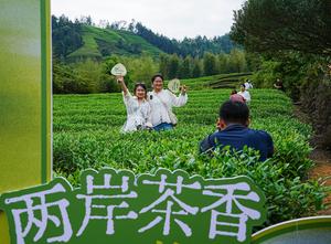 CHINA-FUJIAN-WUYISHAN-EVENTO CULTURAL DEL TE