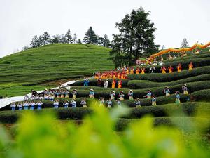 CHINA-FUJIAN-WUYISHAN-EVENTO CULTURAL DEL TE