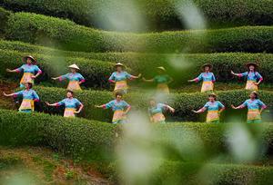 CHINA-FUJIAN-WUYISHAN-EVENTO CULTURAL DEL TE