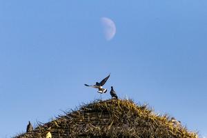 CHINA-ASTRONOMIA-LUNA EN CUARTO CRECIENTE