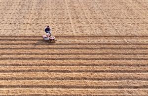 CHINA-SHANDONG-ZAOZHUANG-AGRICULTURA