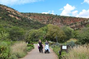 SUDAFRICA-JOHANNESBURGO-SEMANA NACIONAL DE LOS JARDINES