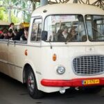 POLONIA-VARSOVIA-AUTOBUSES ANTIGUOS