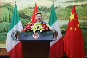 MEXICO-CIUDAD DE MEXICO-CHINA-AÑO NUEVO CHINO