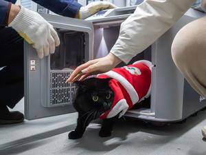 XINHUA PHOTOS OF THE DAY