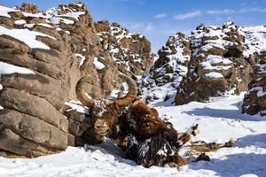 CHINA-XIZANG-RESERVA NACIONAL NATURAL DE CHANGTANG-BAMOQONGZONG-GRUPO VOLCANICO