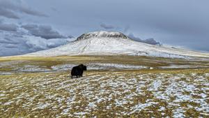 CHINA-XIZANG-RESERVA NACIONAL NATURAL DE CHANGTANG-BAMOQONGZONG-GRUPO VOLCANICO