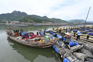 CHINA-FUJIAN-NINGDE-TIFON BAVI-PREVENCION