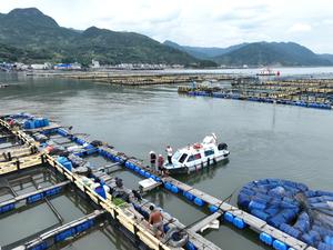 CHINA-FUJIAN-NINGDE-TIFON BAVI-PREVENCION