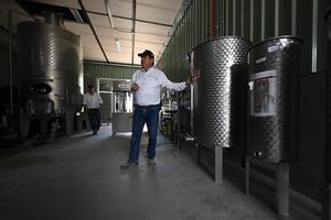 CHILE-HUAYCA-CEPA VINIFERA