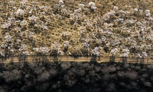 CHINA-SHAANXI-YAN'AN-VISTAS DE PRIMAVERA