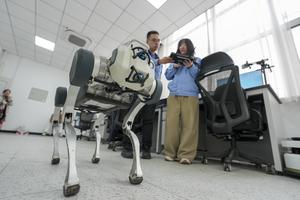 CHINA-HEILONGJIANG-HARBIN-AGRICULTURA DE PRIMAVERA-FERROCARRIL-TRANSPORTE-MEJORA