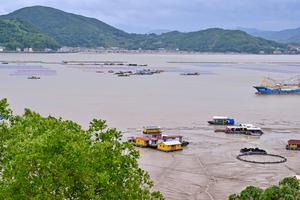 CHINA-FUJIAN-FUDING-TIFON BAVI-PREVENCION