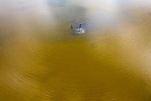 HUNGRIA-GARDONY-LAGO VELENCE-SEQUIA