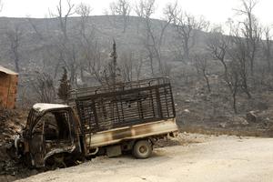 ARGELIA-JIJEL-INCENDIOS FORESTALES