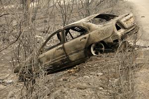 ARGELIA-JIJEL-INCENDIOS FORESTALES