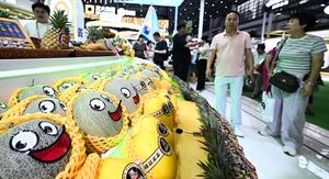 CHINA-HAINAN-SEXTA CICPE-JORNADAS DE PUERTAS ABIERTAS AL PUBLICO