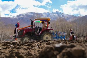 CHINA-XIZANG-SHANNAN-AGRICULTURA DE PRIMAVERA-CEREMONIA