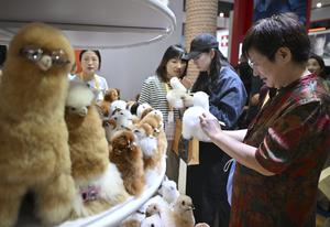 CHINA-HAINAN-SEXTA CICPE-JORNADAS DE PUERTAS ABIERTAS AL PUBLICO