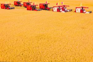 CHINA-FESTIVAL DE LA COSECHA DE LOS AGRICULTORES