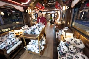 CHINA-SICHUAN-CHENGDU-TREN PANDA-TURISMO