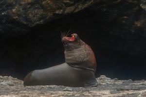 ECUADOR-PUERTO LOPEZ-VIDA COTIDIANA