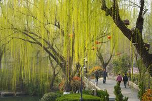 CHINA-SHANDONG-JINAN-LAGO DAMING-PAISAJE