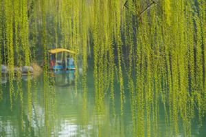 CHINA-SHANDONG-JINAN-LAGO DAMING-PAISAJE