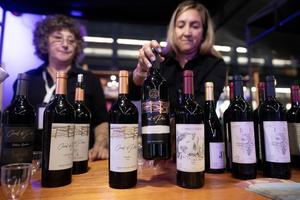 ARGENTINA-BUENOS AIRES-DIA MUNDIAL DEL MALBEC